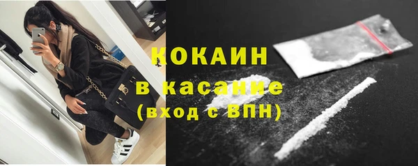 гашик Вязьма