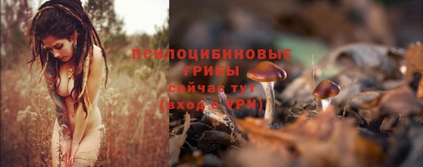 гашик Вязьма