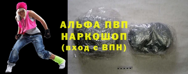 гашик Вязьма