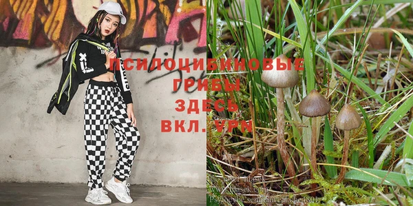 герыч Вяземский