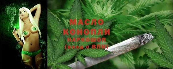 гашик Вязьма