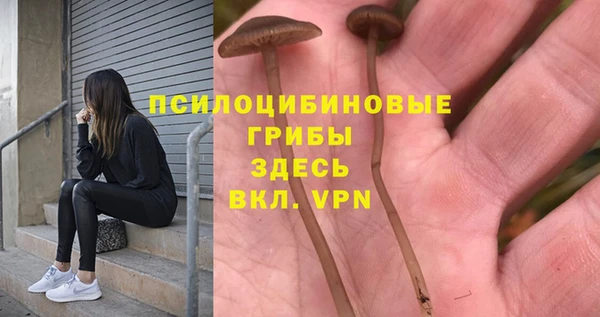 гашик Вязьма