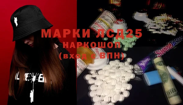 гашик Вязьма